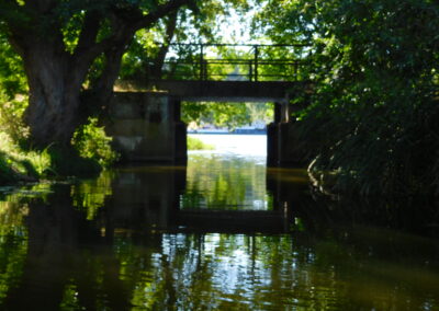 Nationalpark Unteres Odertal Brücke